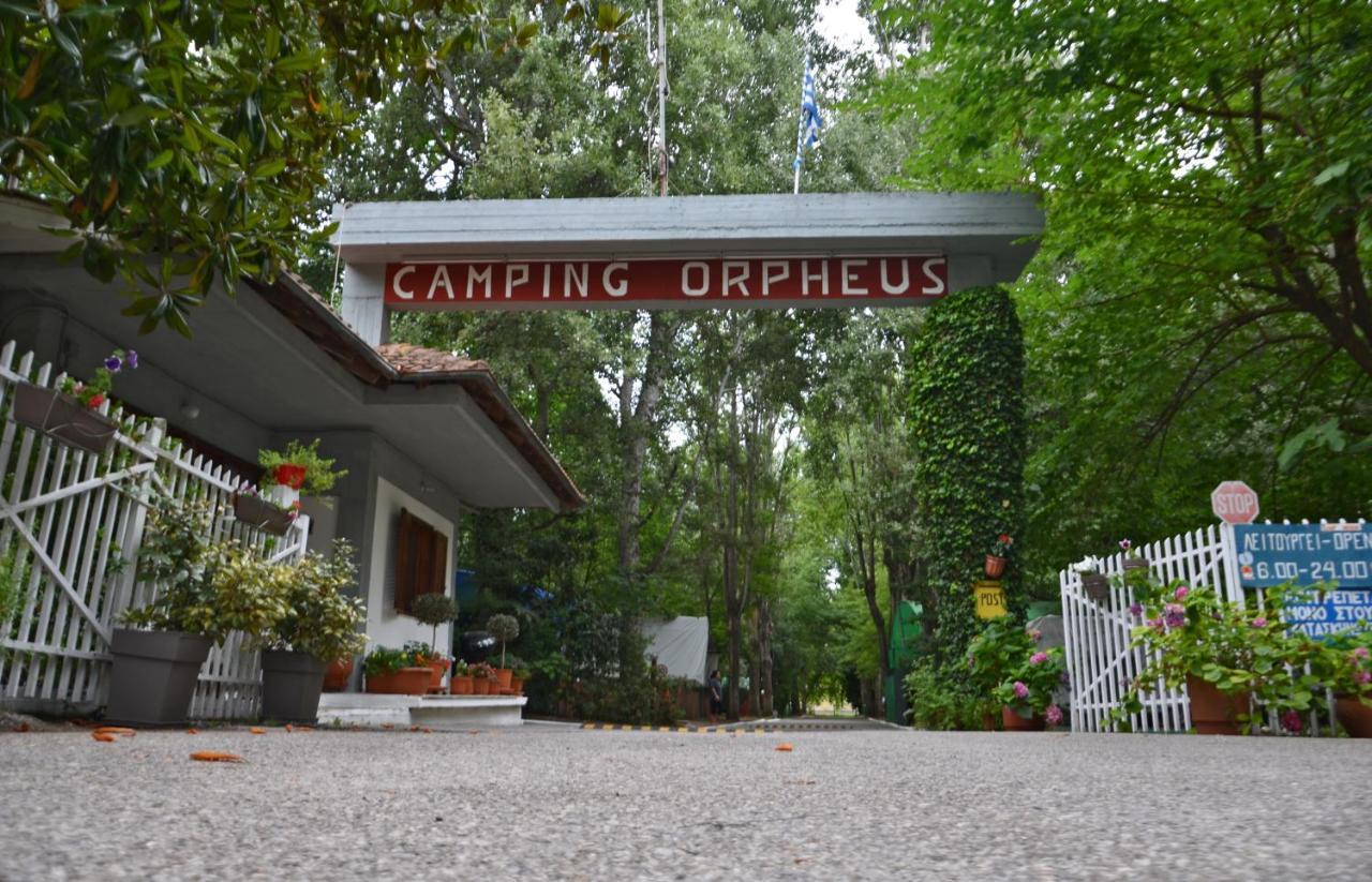 ניו פנטלימונאס Camping Orpheus Apartments מראה חיצוני תמונה