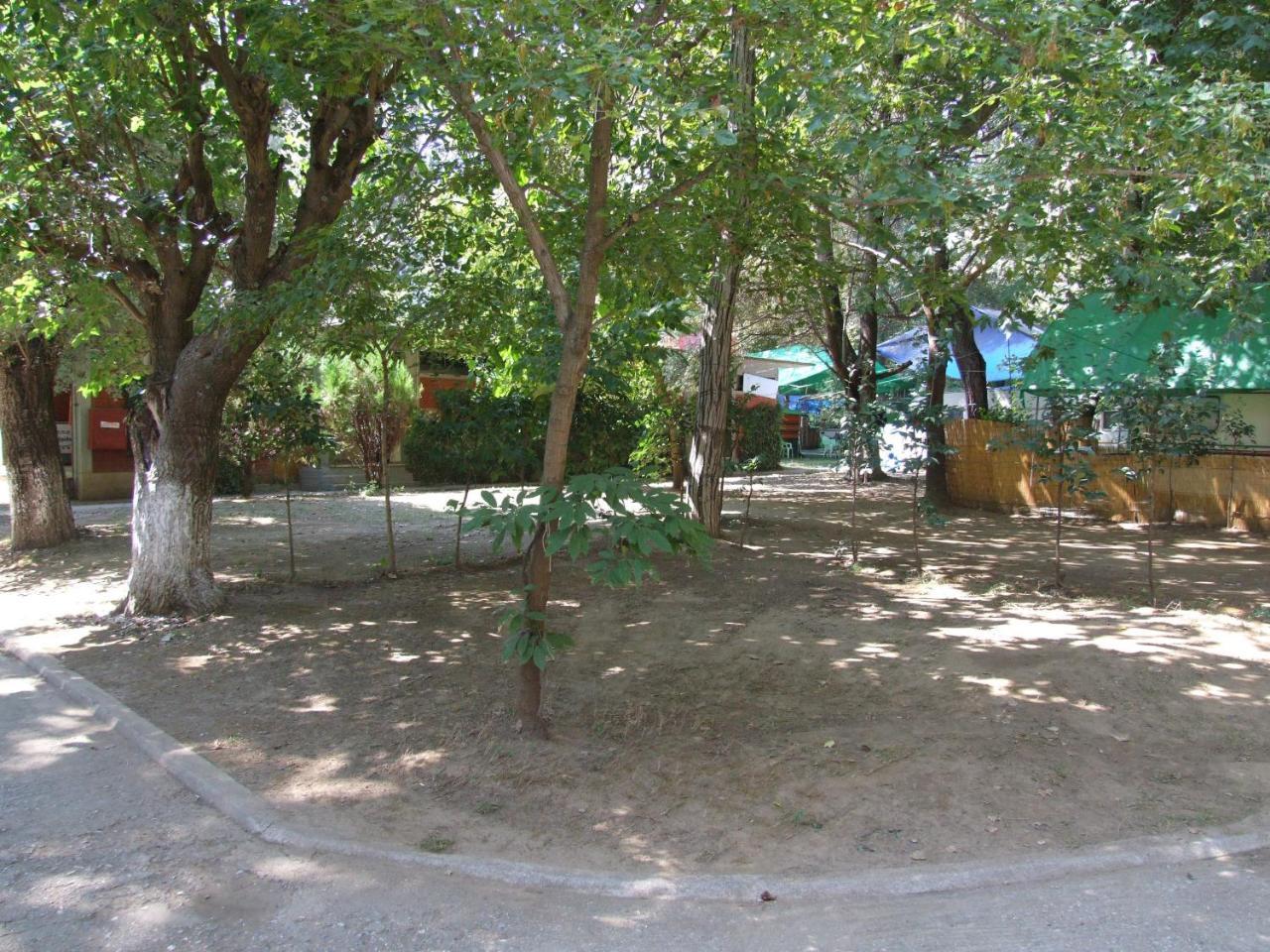 ניו פנטלימונאס Camping Orpheus Apartments מראה חיצוני תמונה